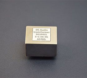 DS1941S